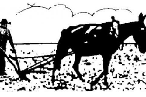 CRT explanation continued