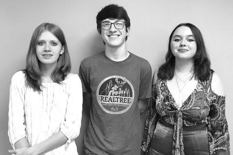 Article Image Alt Text