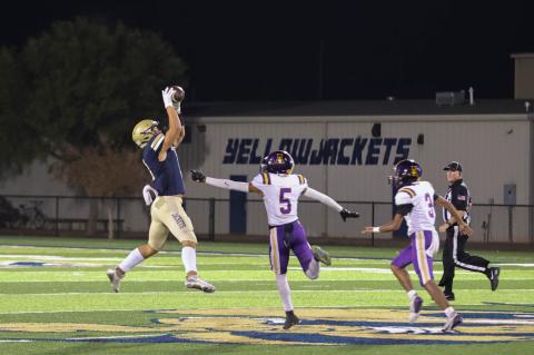 Article Image Alt Text