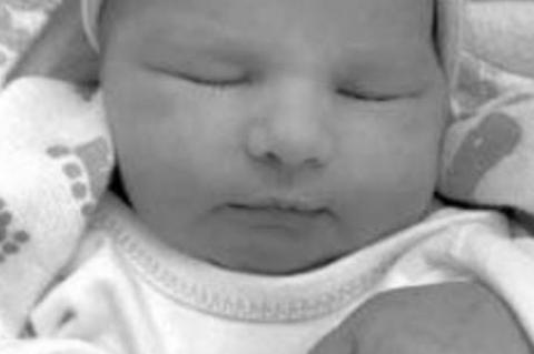 Vivian Ligouri Ingle