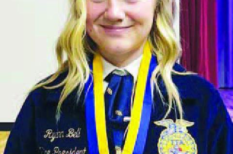 Dozen Degrees of Achievement