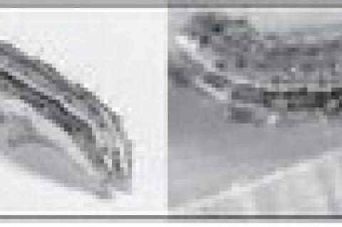 ARMYWORMS pictured in young stage at left, and adult.