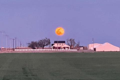 A Big Moon on the Rise