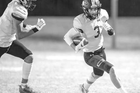 What can Brown do for you?