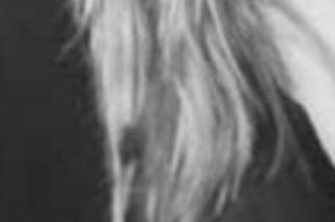 ACS Baron’s Ball going virtual this year