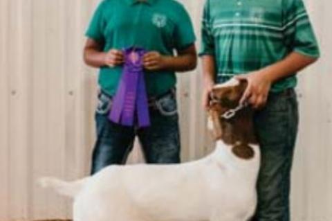 kingfisher County Fair Livestock show winners