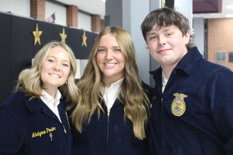 Article Image Alt Text