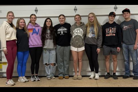 Article Image Alt Text