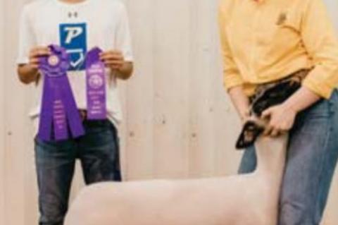 kingfisher County Fair Livestock show winners