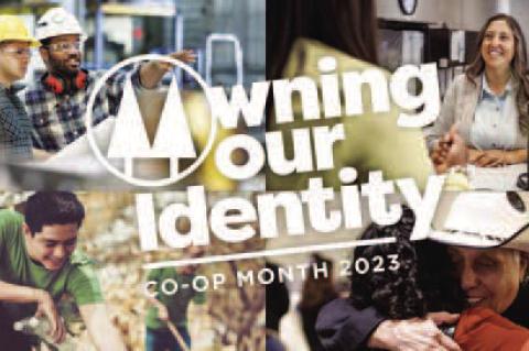 New Pioneer project an ode to its past