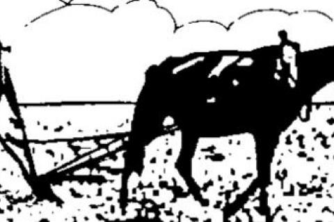 Panic time at Twitter; Musk on the move