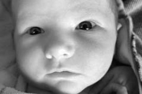 Oliver Ambrose Ingle