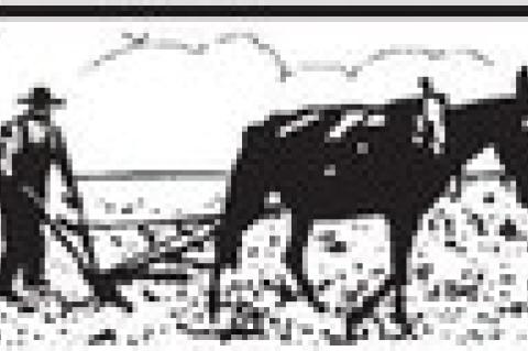 Article Image Alt Text