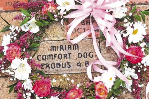 Providing comfort once again