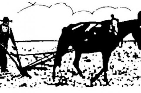 WWII Vet: ‘Not the America we fought for