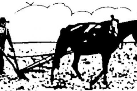 Correct Trump quote provided by reader