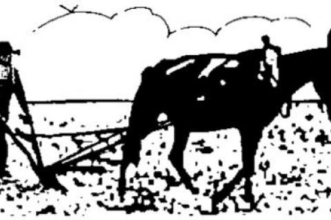 ‘AMERICA BELONGS TO THE PEOPLE’