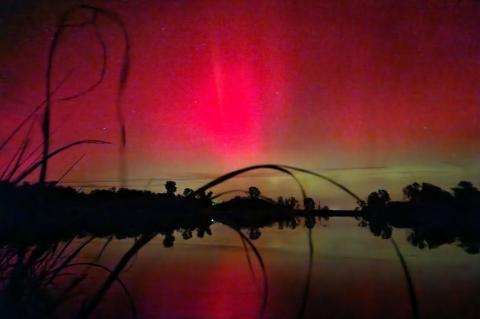 Article Image Alt Text