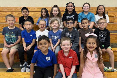 Article Image Alt Text