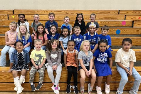 Article Image Alt Text