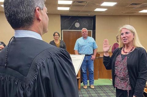 Interim county assessor named