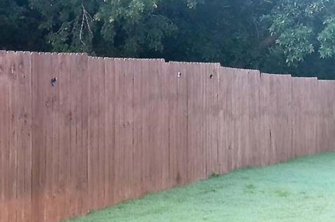 Junior Livestock Show Reserve Grand Champions