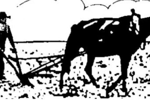 Virginia, other elections: A word to the wise