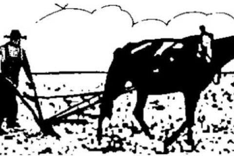 ‘I’m just Mike;’ a remembrance