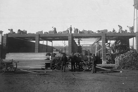 	One of Kingfisher’s Biggest Fans 