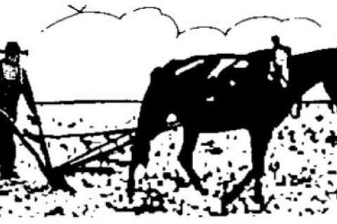 ‘The Leak’ creates leftist fit