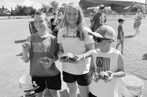 Lions Club’s annual turtle race winners announced