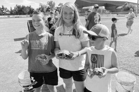 Lions Club’s annual turtle race winners announced