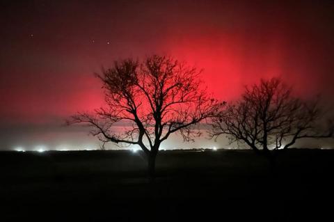 Article Image Alt Text