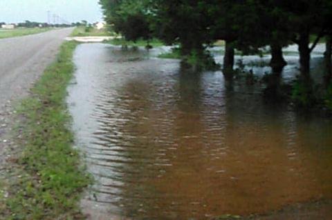 Article Image Alt Text