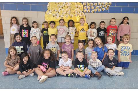 Article Image Alt Text