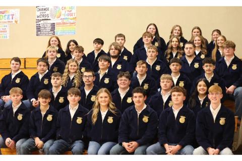 Article Image Alt Text