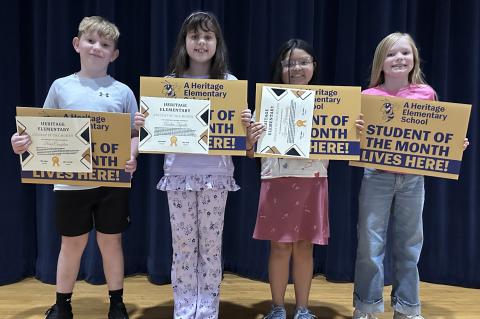 Article Image Alt Text