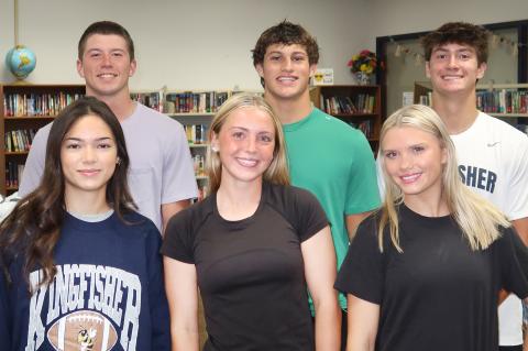 Article Image Alt Text