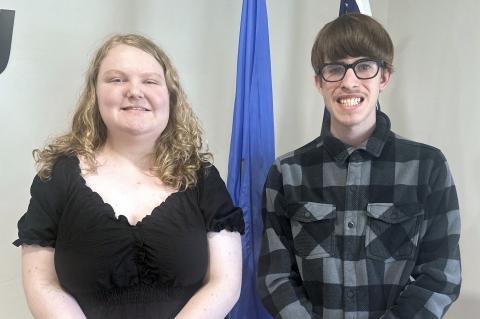 Article Image Alt Text