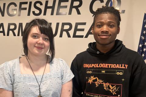 Article Image Alt Text