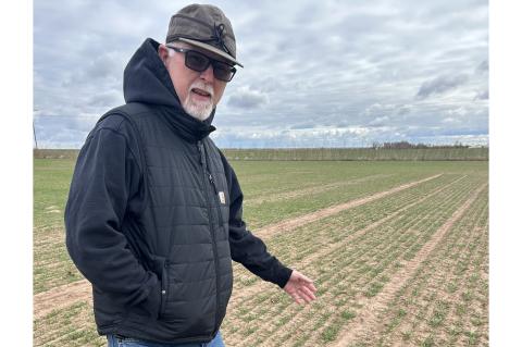 Article Image Alt Text