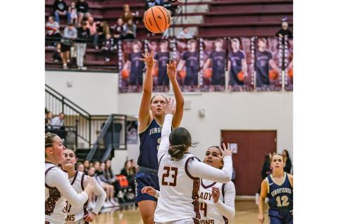 Article Image Alt Text