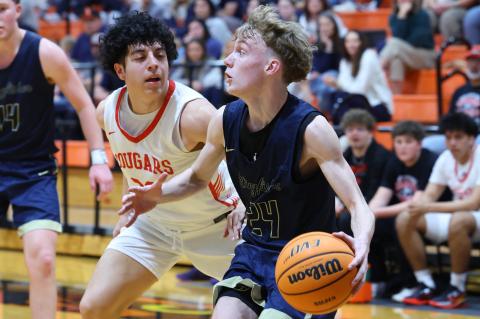 Article Image Alt Text