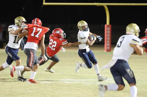 Article Image Alt Text