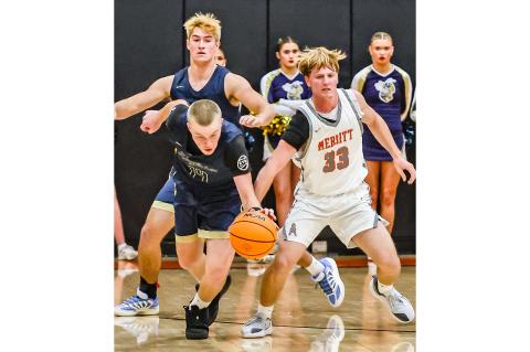 Article Image Alt Text