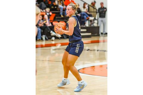 Article Image Alt Text