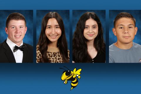 Article Image Alt Text