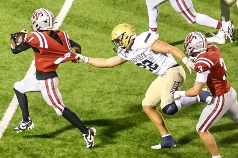 Article Image Alt Text