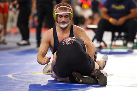 Article Image Alt Text