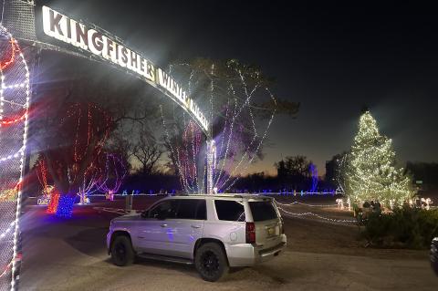 Article Image Alt Text